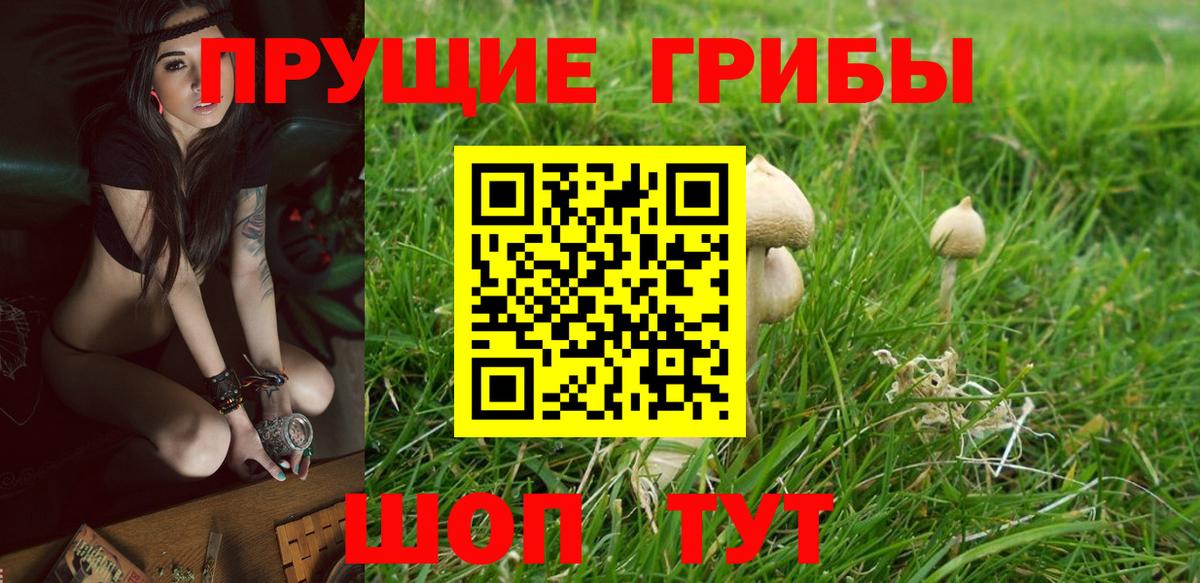 Бугуруслан  Галлюциногенные грибы Magic Shrooms  Вход с VPN  Псилоцибиновые грибы ЛСД 