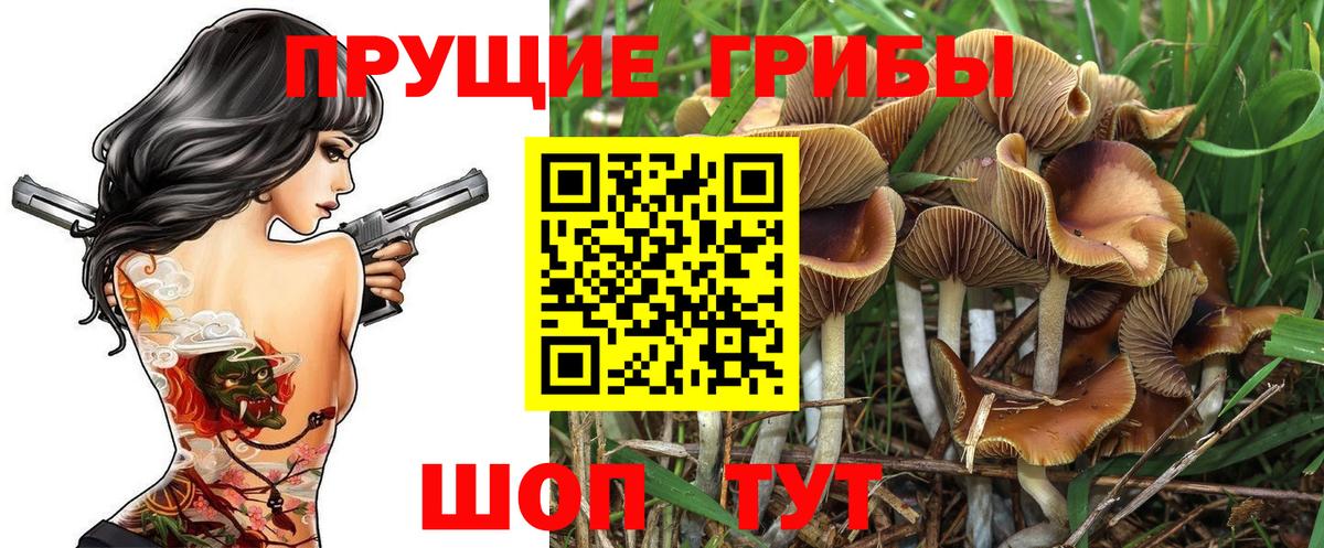 Псилоцибиновые грибы Cubensis Бугуруслан